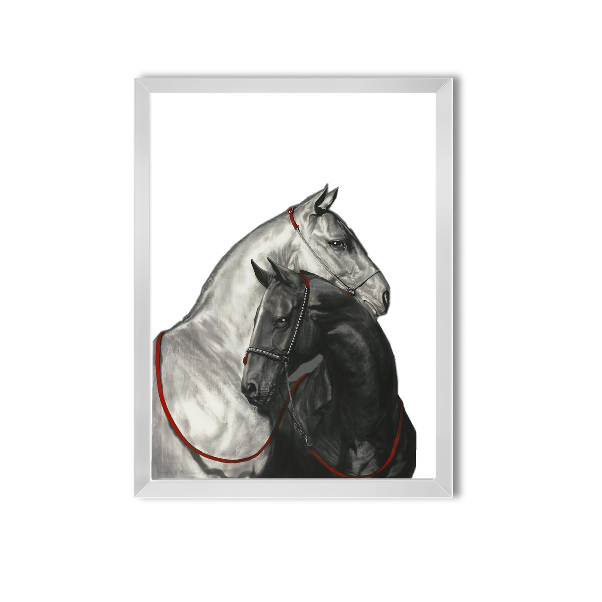 Animal #10