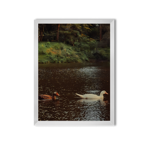 Nature #10