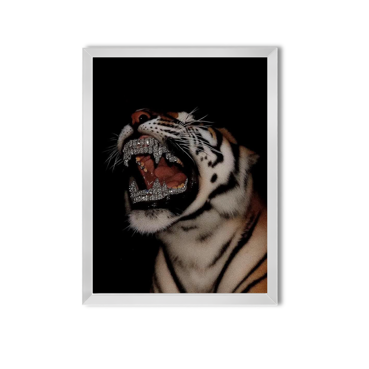Animal #14
