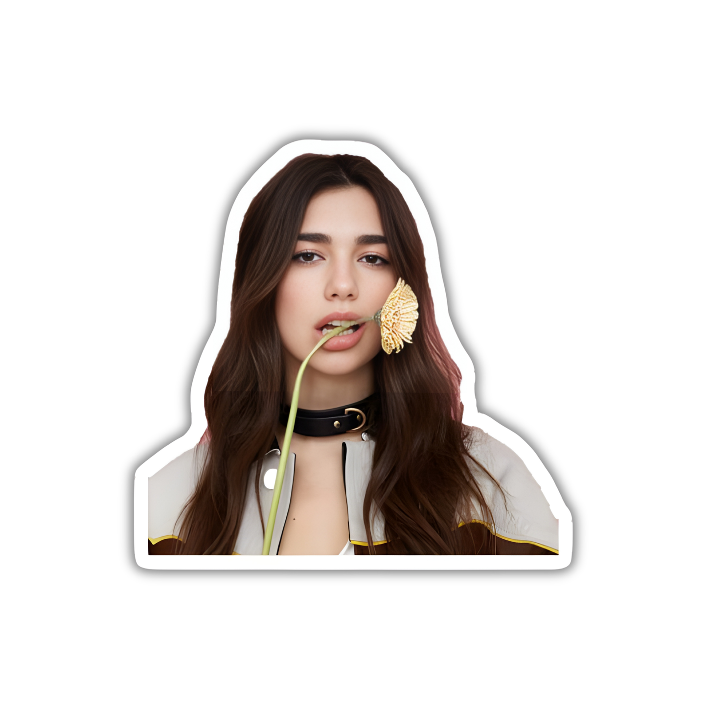 Dua Lipa 4
