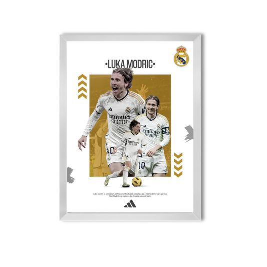 Modric #65