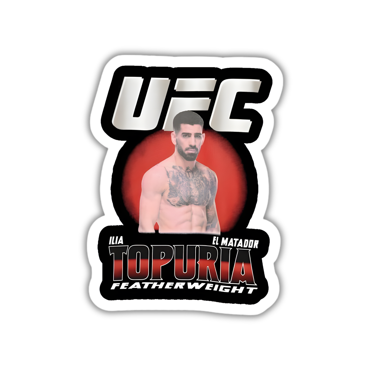 UFC2