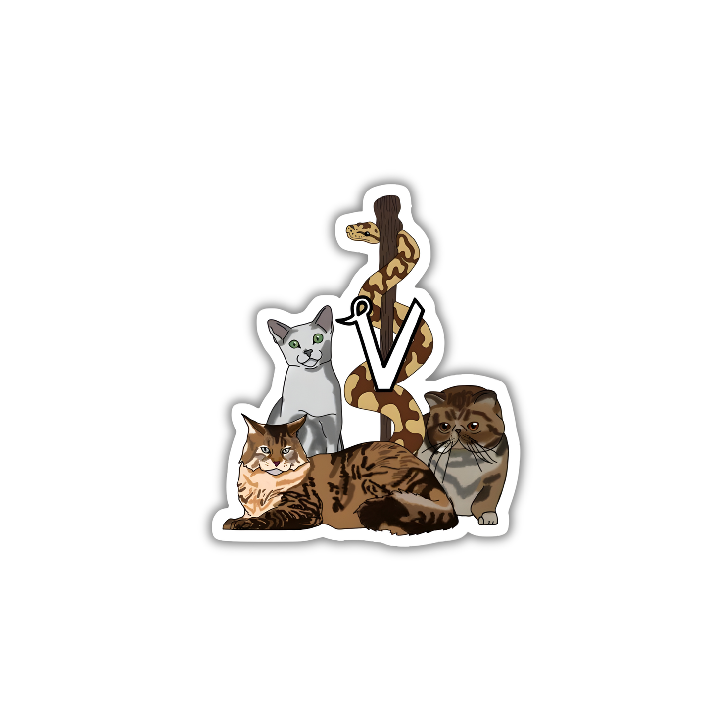 Veterinary 1