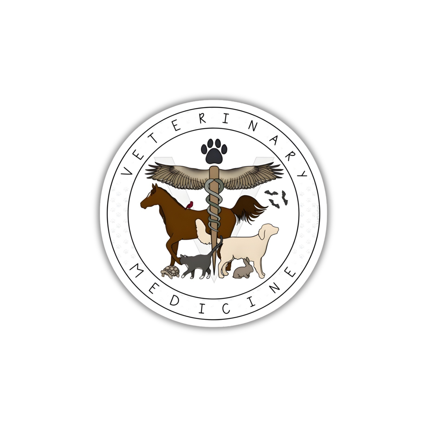 Veterinary 12