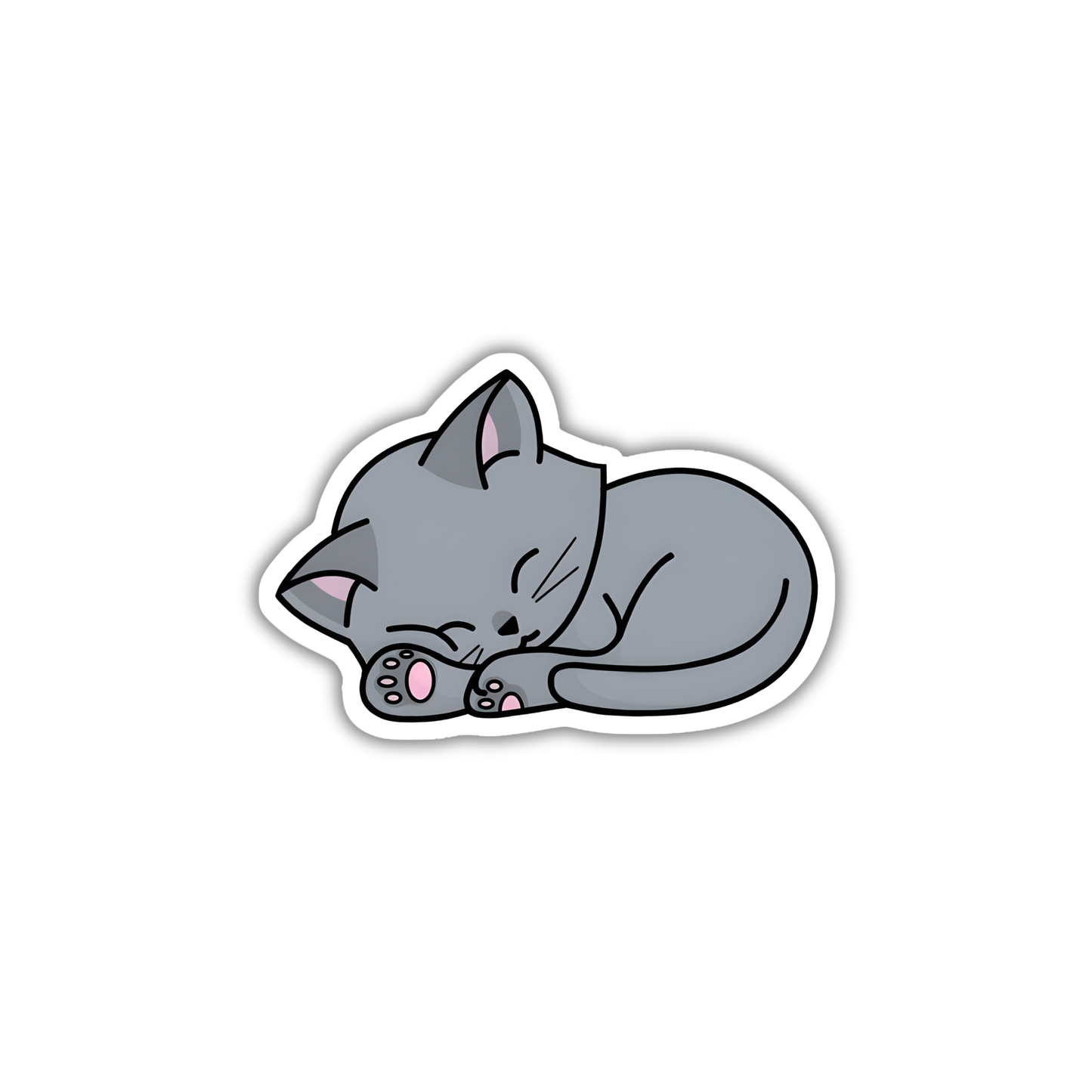 Cat 6