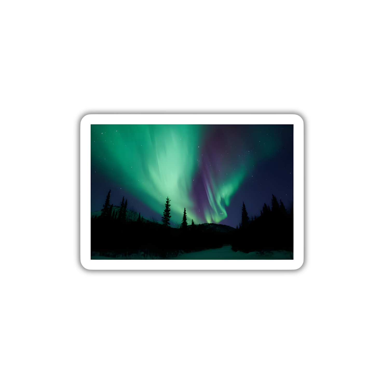 Northern Light