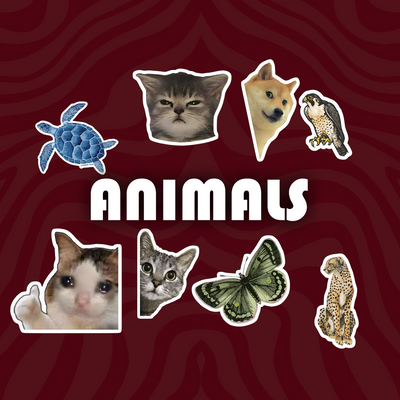 Animals