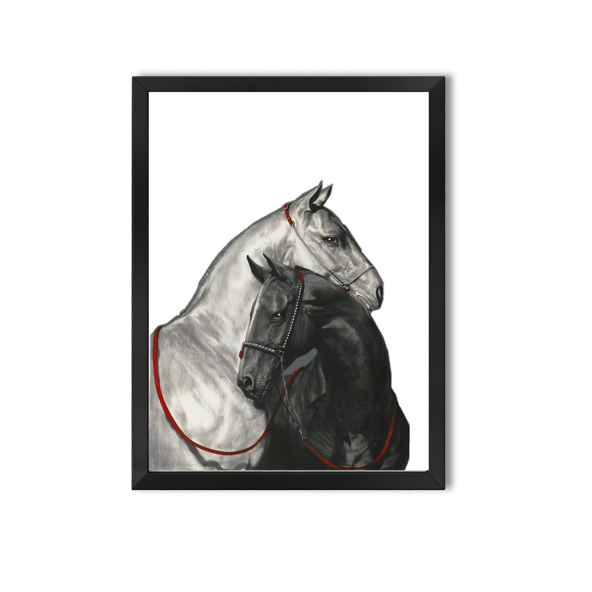 Animal #10