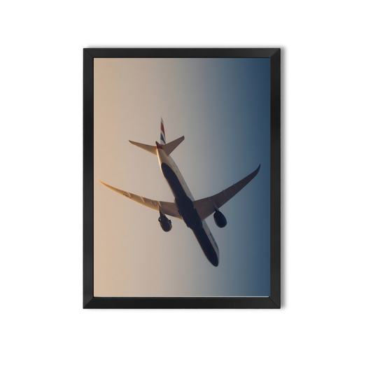 Airplane #19
