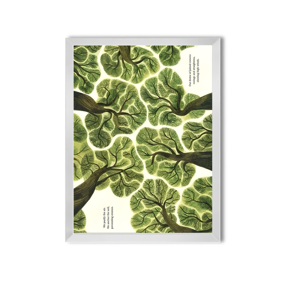 Nature #1