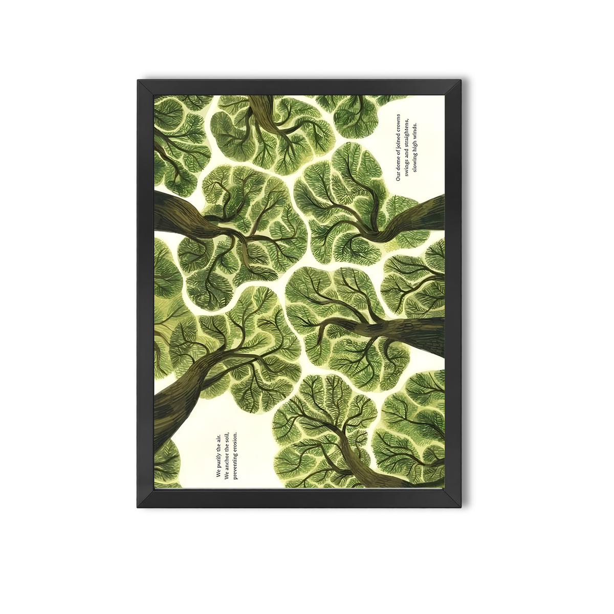Nature #1