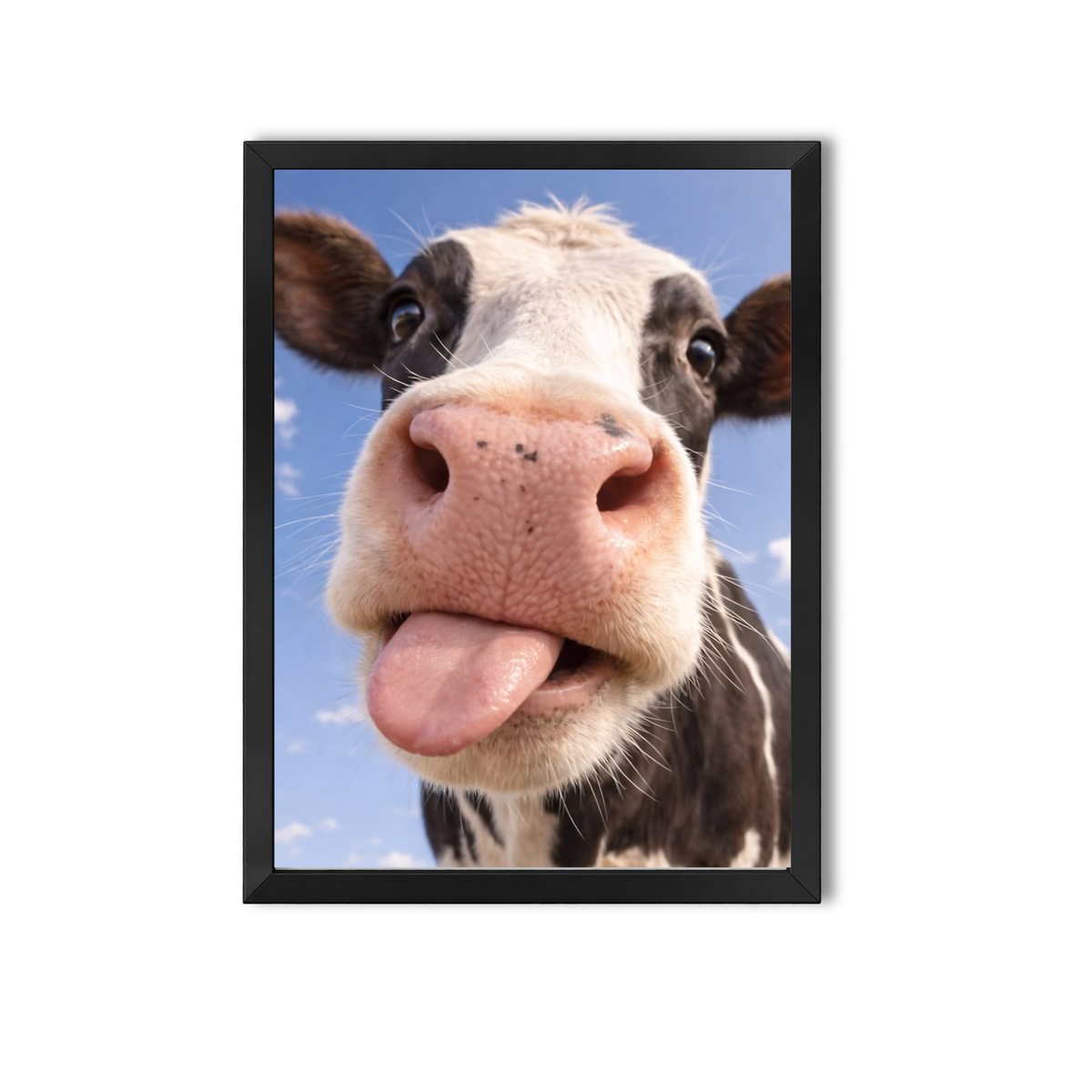 Animal #20