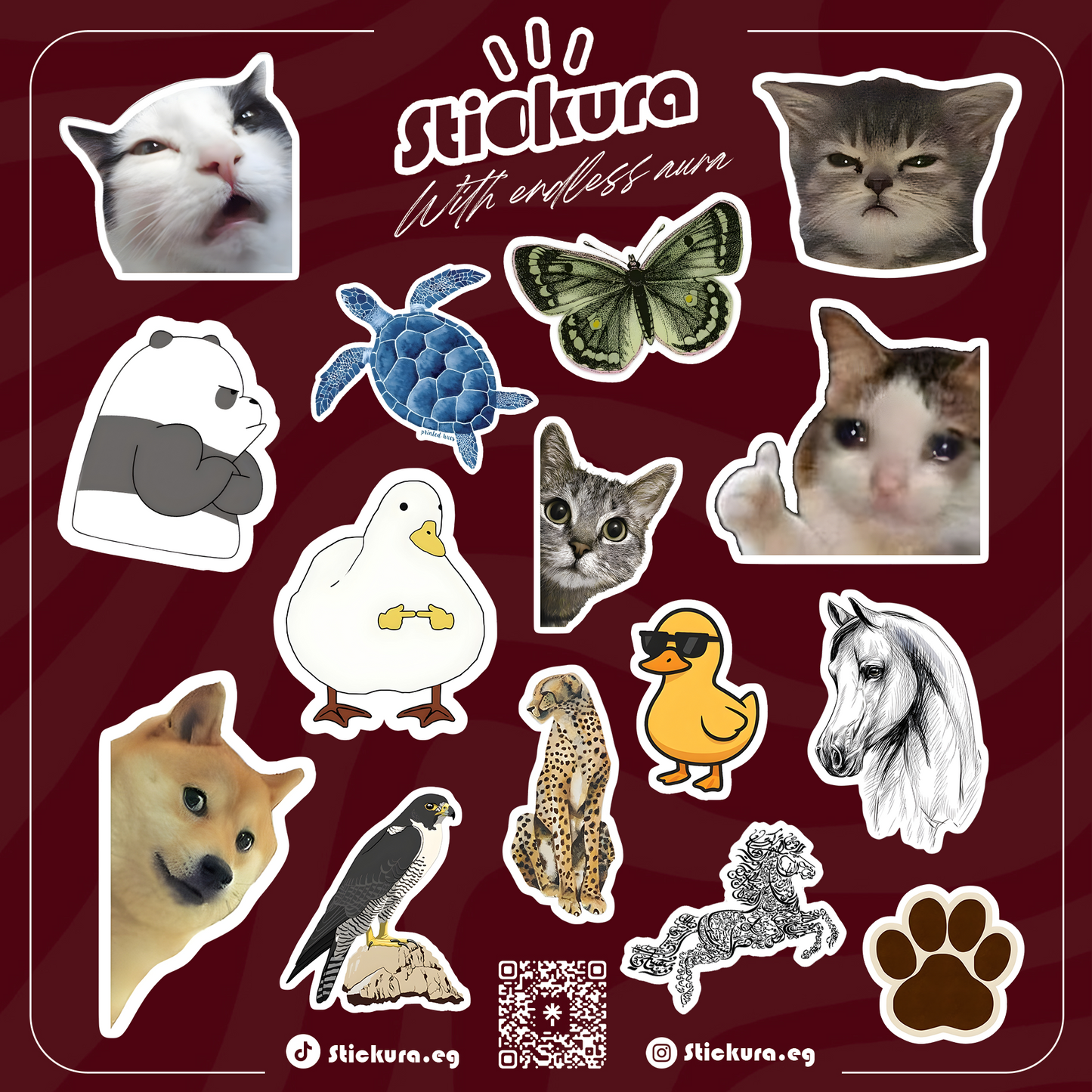 Animal Sheet