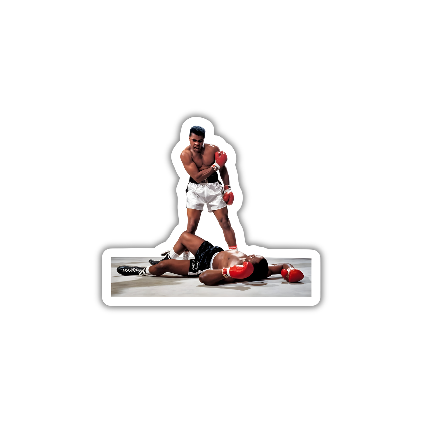 The Iconic Knockout