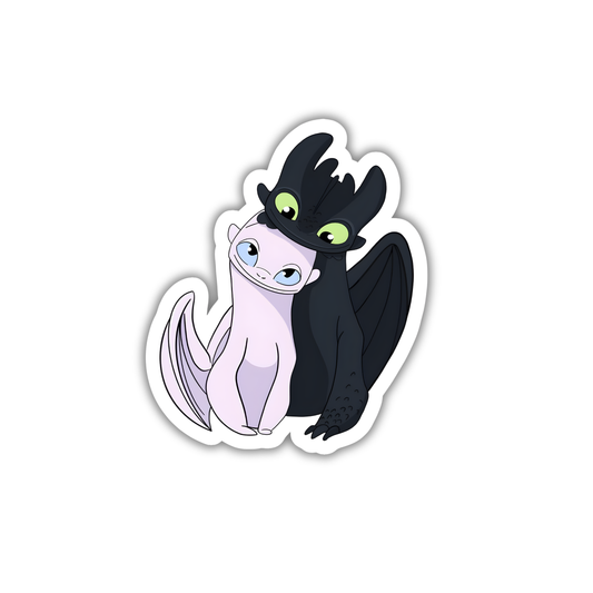 Toothless & Light Fury
