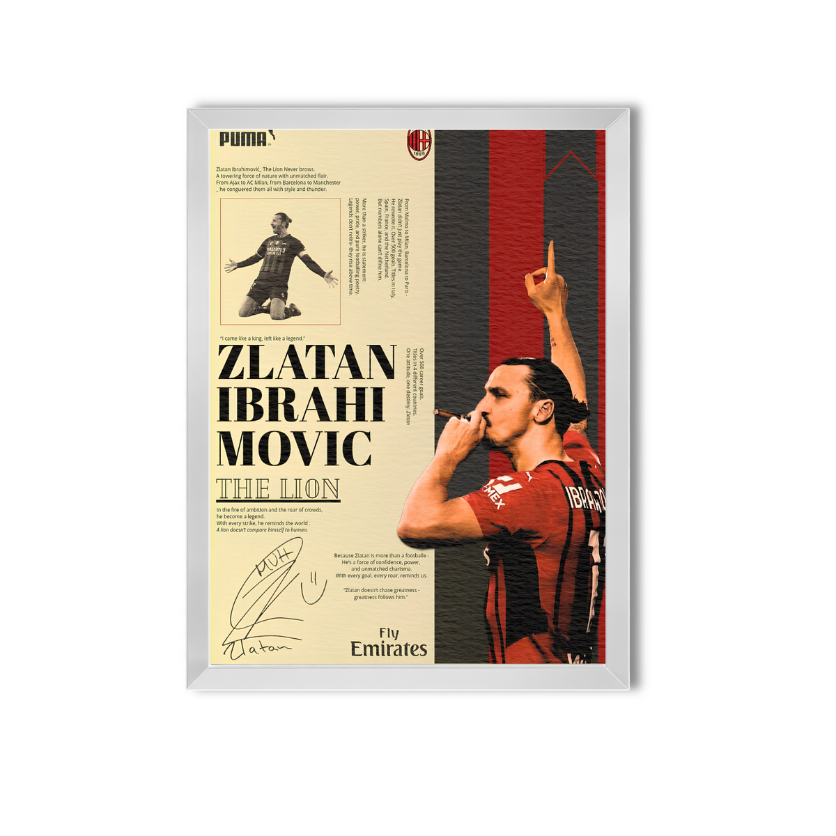 Zlatan #8