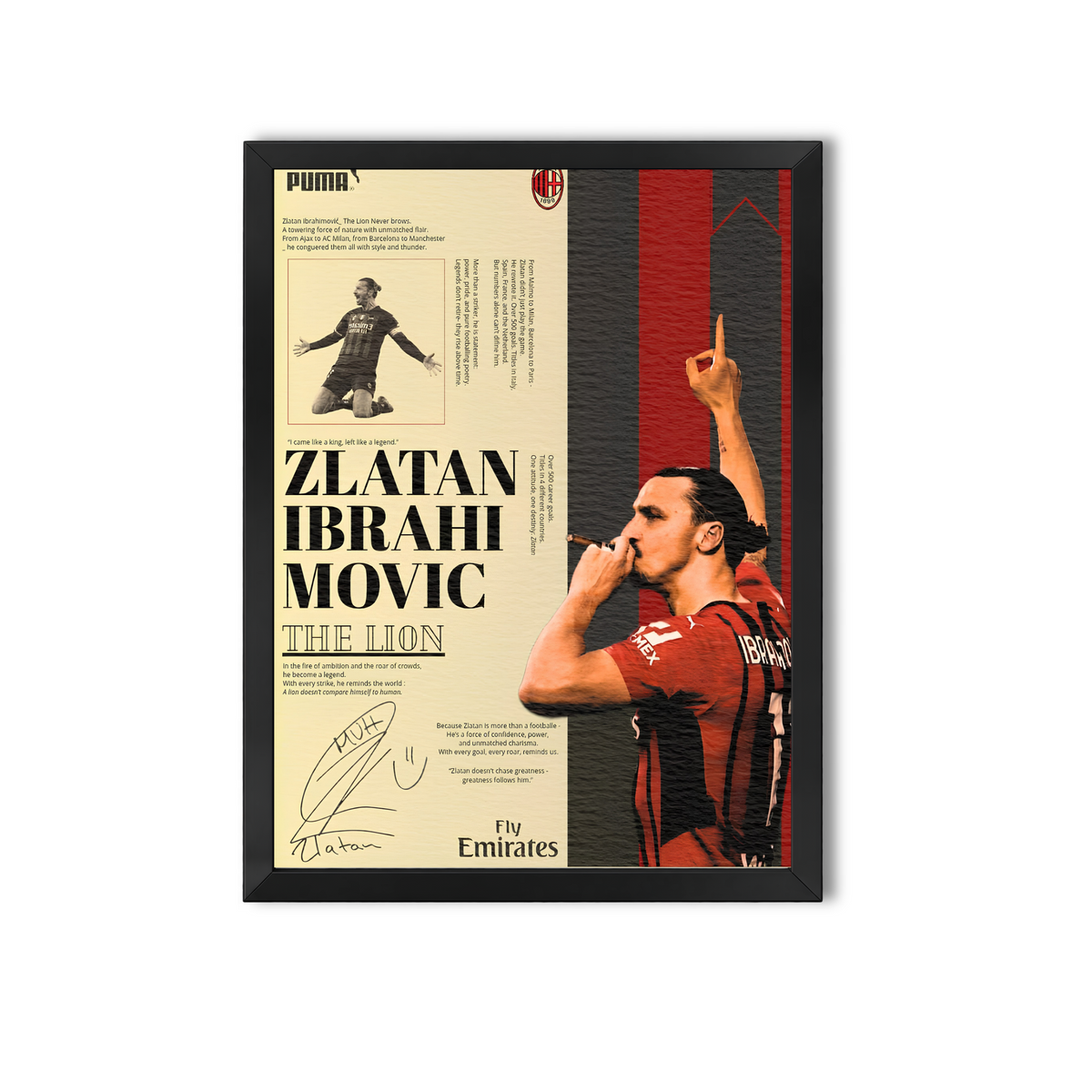 Zlatan #8