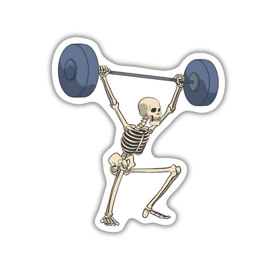GYM12