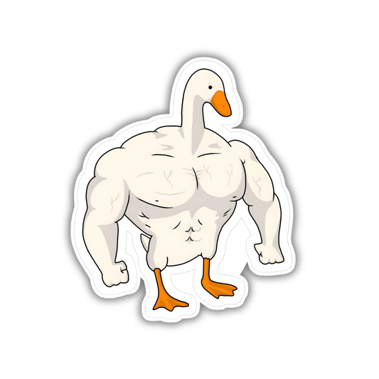 GYM6