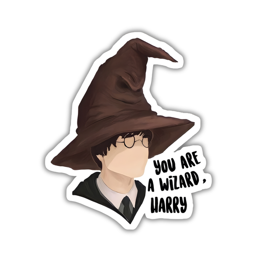Wizard Harry