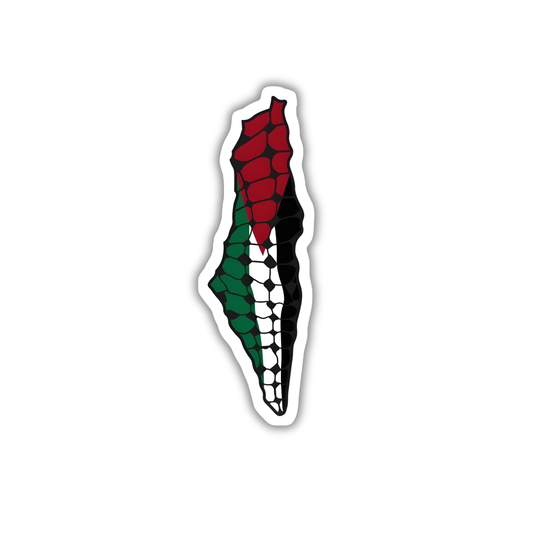 Palestine 6