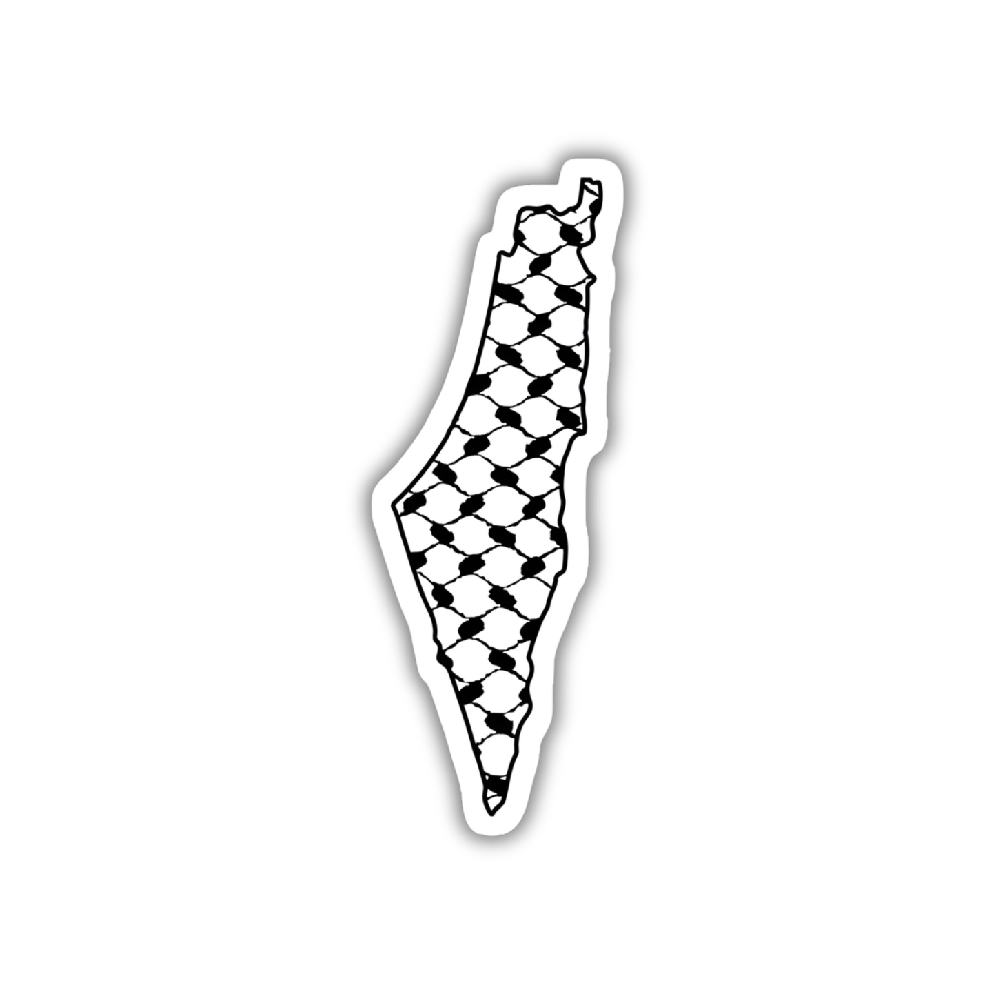 Palestine 7