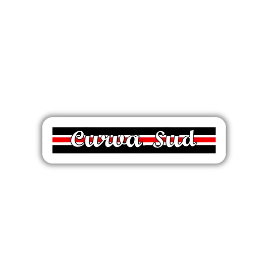 Curva sud