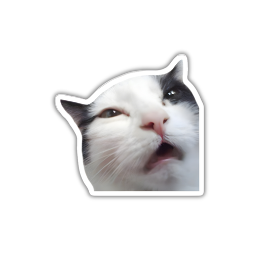 Cat 3