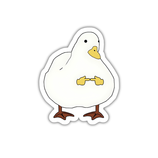 Duck 1