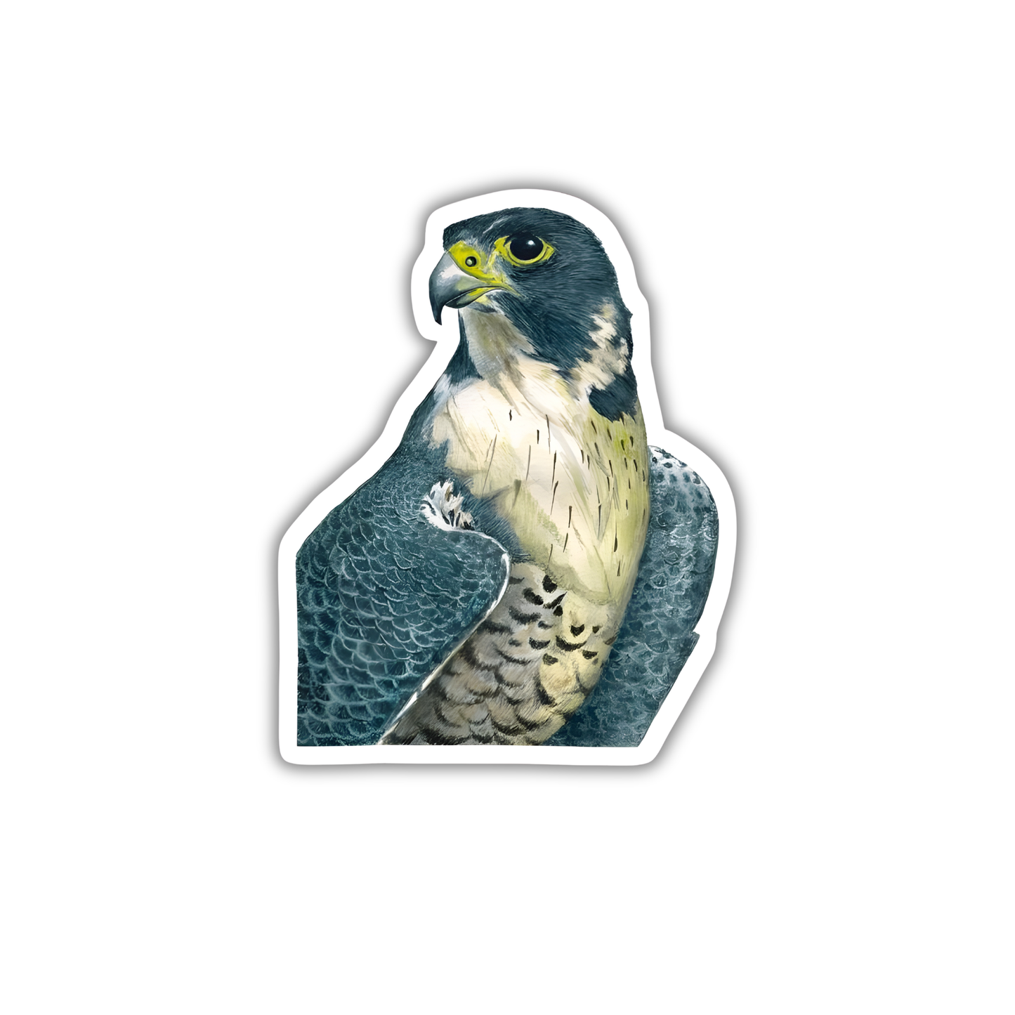 Peregrine Falcon 3