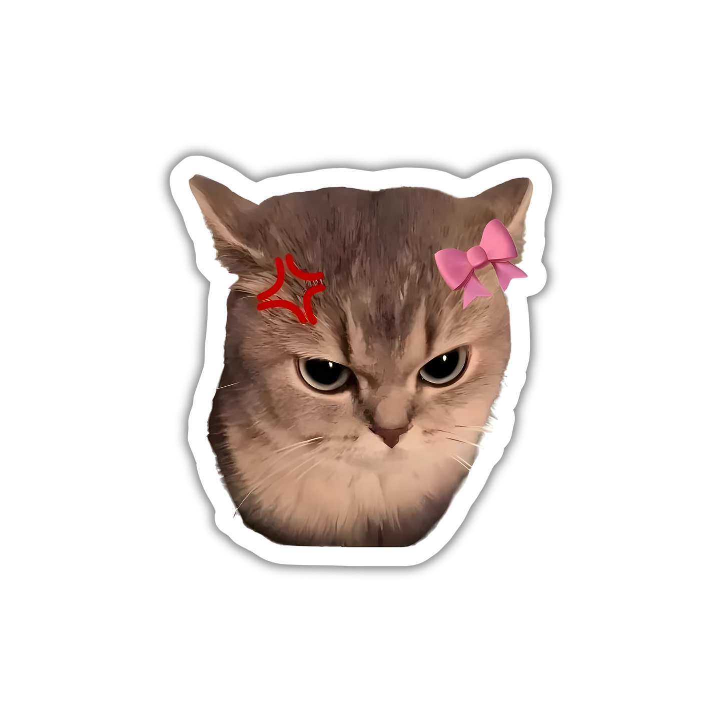 Cat 8