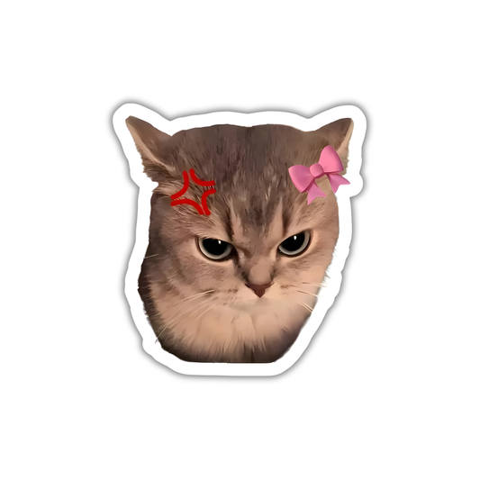 Cat 8