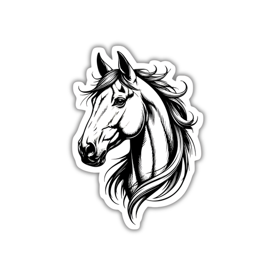 Horse 4