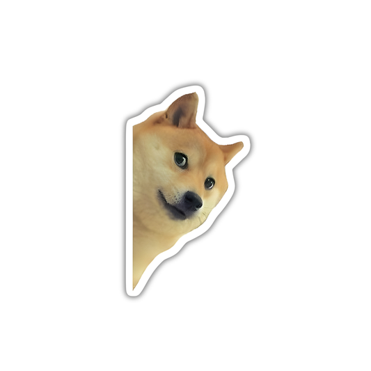 Dog 1