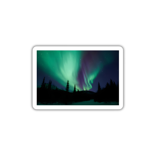 Northern Light